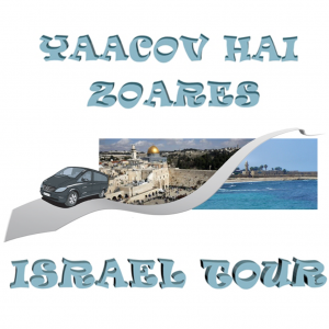 ditta di pulman di vari grandezze, con una lunga esperienza di turisti da tutto il mondo specialmente dall italia in quanto parliamo italiano ; occupandoci di farvi visitare molti luoghi in israele sia santi che non e mostrarvi quanto e bella questa nuova nazione di soli 66 anni e che auguro viva per l eternita