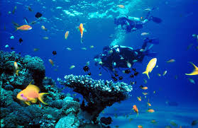 images eilat